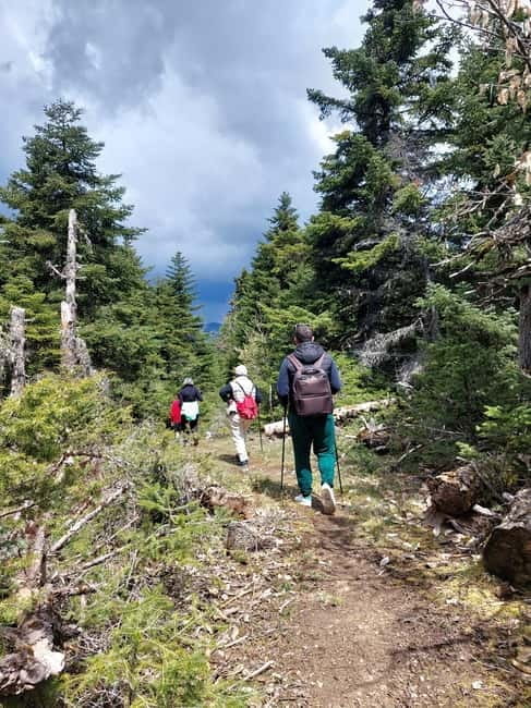 Private Excursion 2 Days: Athens - Nafpaktos & Mountainous Nafpaktia - Who Is This Tour Best For?