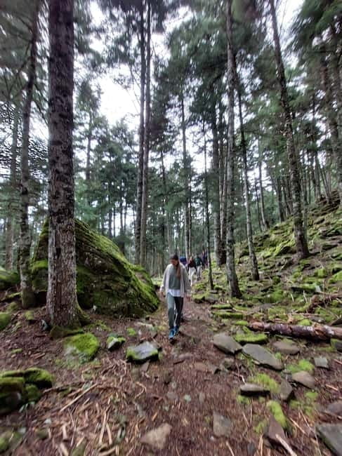 Private Excursion 2 Days: Athens - Nafpaktos & Mountainous Nafpaktia - Price and Value: Is It Worth It?