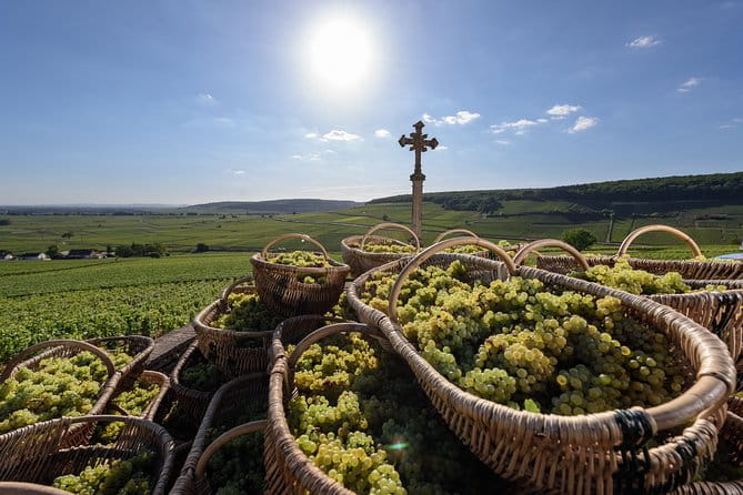 Private excursion to Côte de Beaune and Côte de Nuits (full day) - Burgundy’s Vineyards Unveiled: A Detailed Look at the Full-Day Côte de Beaune and Côte de Nuits Tour