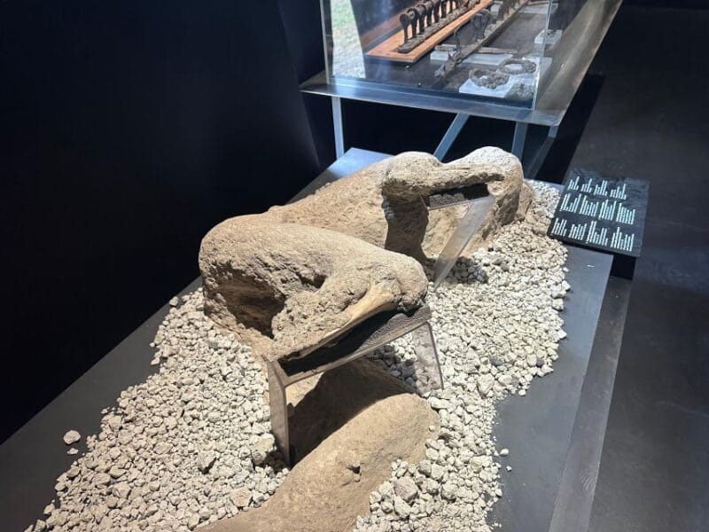 Private excursion to Pompeii and to Vesuvius - Who Will Love This Tour?