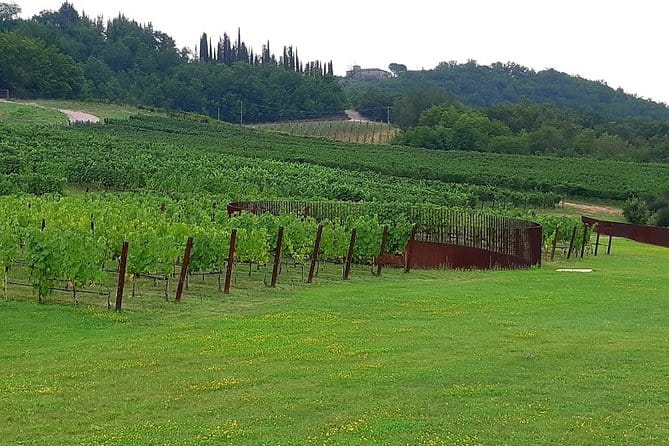 PRIVATE EXCURSION: Volterra & San Gimignano + wine tastings (from Livorno Port) - Who Will Love This Tour?