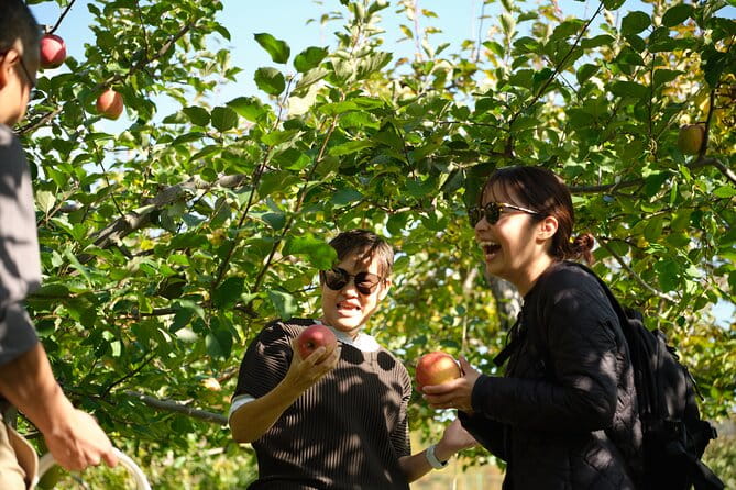 Private Farm to Table Tailored BBQ Experience in Sapporo - Experience Overview