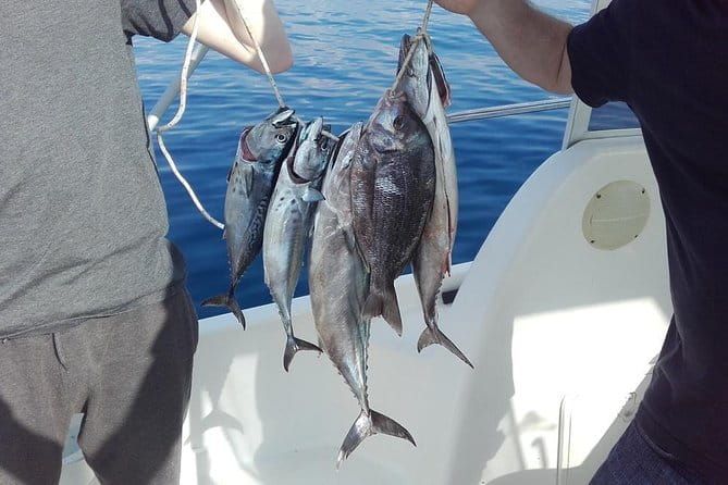 Private fishing tour - Exploring Dubrovnik’s Private Fishing Adventure