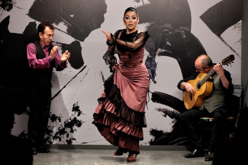 Private flamenco show in the center of Seville (Max 30 pax) - Key points / Takeaways