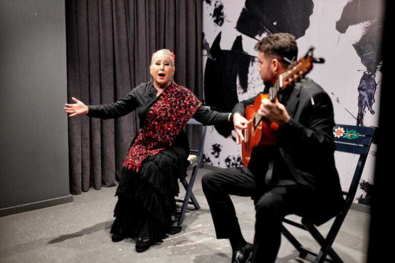 Private flamenco show in the center of Seville (Max 30 pax) - Who Is This Activity Best For?