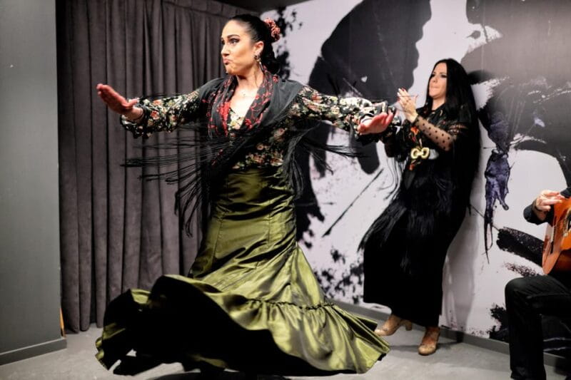 Private flamenco show in the center of Seville (Max 30 pax) - Who Should Avoid This Experience?