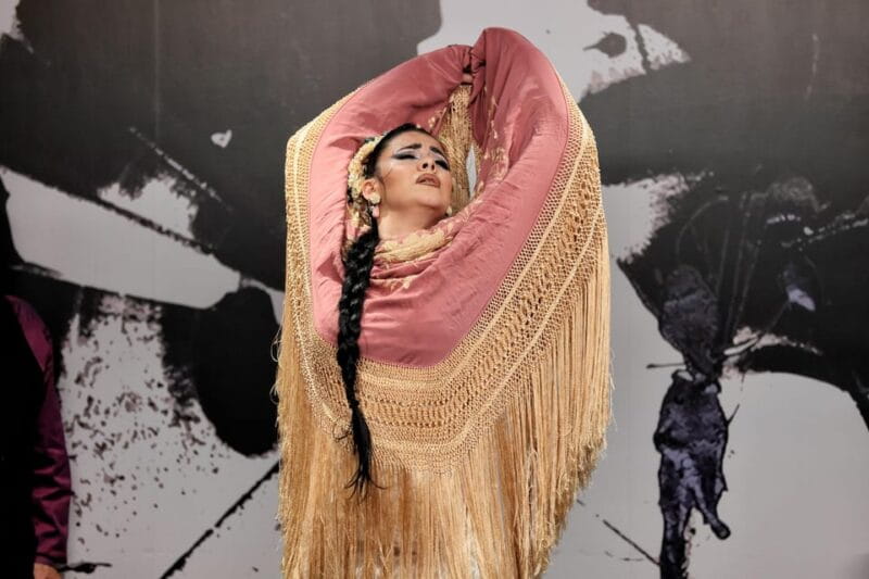 Private flamenco show in the center of Seville (Max 30 pax) - FAQs