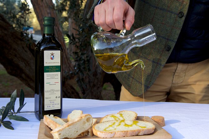 Private Food and Wine Tour in the Cellar With Tastings - Additional Notes