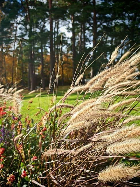 Private Forest Mind Tour in Tampere - Key points / Takeaways