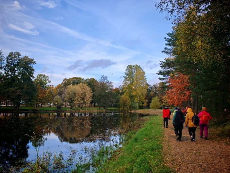 Private Forest Mind Tour in Tampere - Setting the Scene: Your Journey Begins at Rauhaniemi Sauna