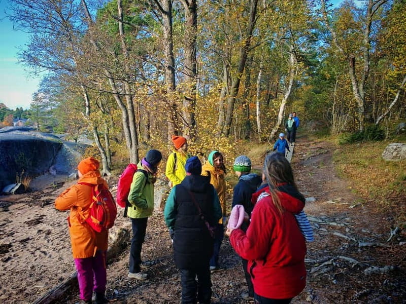 Private Forest Mind Tour in Tampere - The Kauppi Forest: A Nature Lover’s Paradise