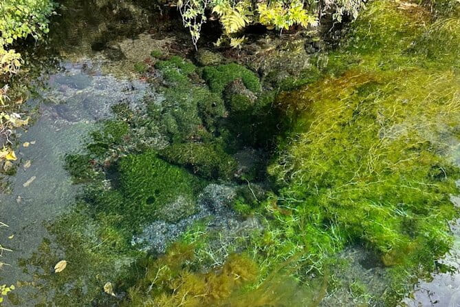 Private Fuji Spring Water Brewery Tour With Fuji Hotel Pick-Up - The Sum Up