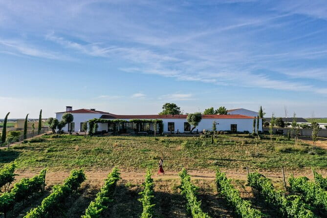 Private Full-Day Alentejo Wine Tour - Key points / Takeaways