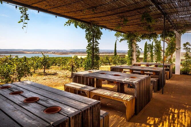 Private Full-Day Alentejo Wine Tour - The Sum Up