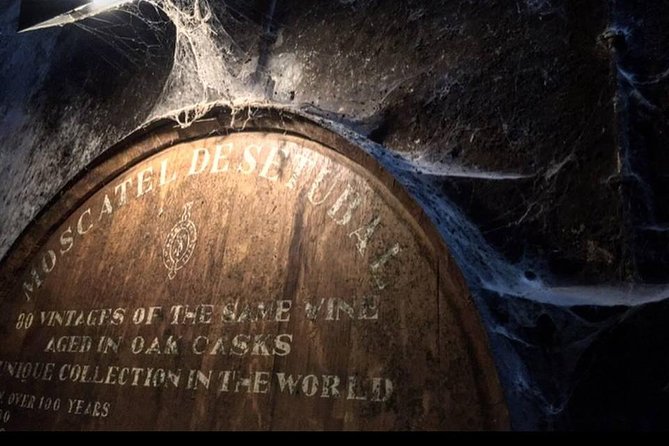 Private Full-Day Arrábida Wine Tour and Food Tasting - Uncover Sesimbra Castles Historical Significance