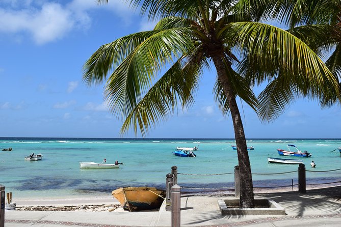 Private Full-Day Barbados Excursion With Entrance Fee Discounts - Pickup and Drop-off