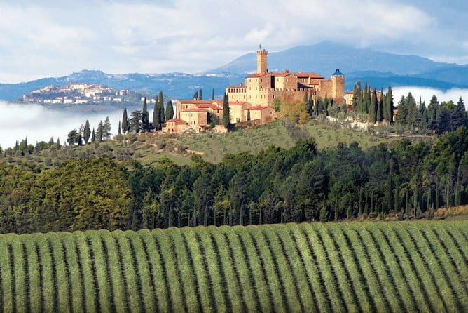 PRIVATE Full-Day Brunello Wine experience from Florence - An In-Depth Look at the Brunello Wine Experience from Florence
