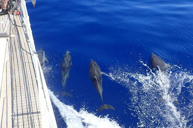 Private Full Day Cruise Tour in Naxos Town - Discovering the Itinerary: From Naxos to the Cyclades and Paros