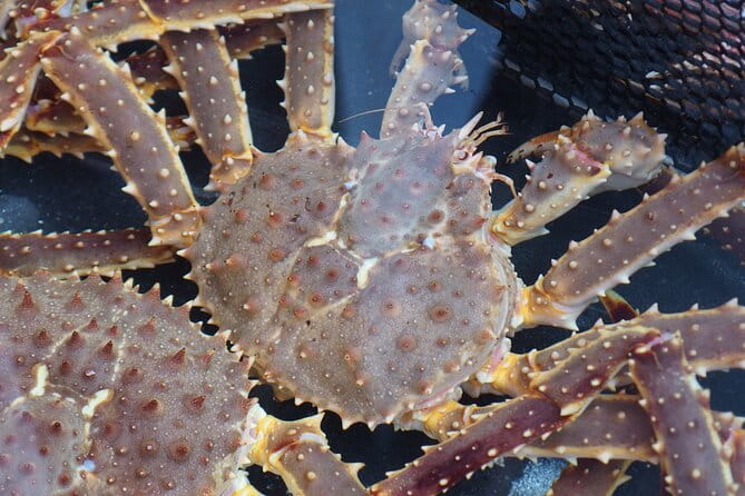 Private Full Day Guided Tour In Hakodate - Accessibility and Special Considerations