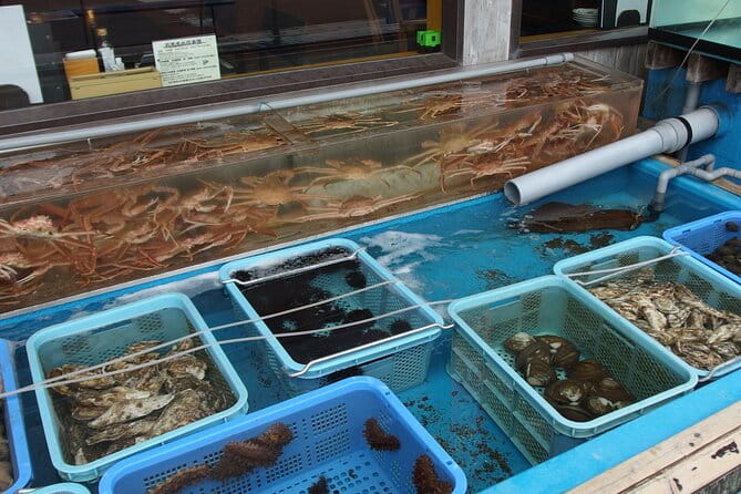 Private Full Day Guided Tour In Hakodate - Tips for a Great Experience