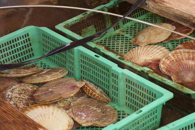 Private Full Day Guided Tour In Hakodate - Booking and Cancellation Policy