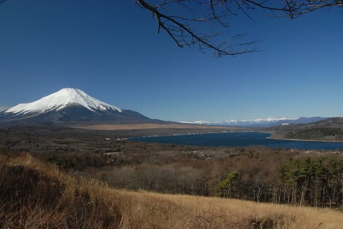 Private Full-Day Guided Tour in Mount Fuji Lakes - Guide and Language Support