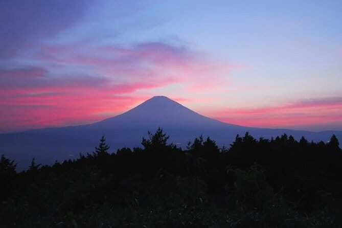 Private Full-Day Guided Tour in Mount Fuji Lakes - Admission Fees and Costs