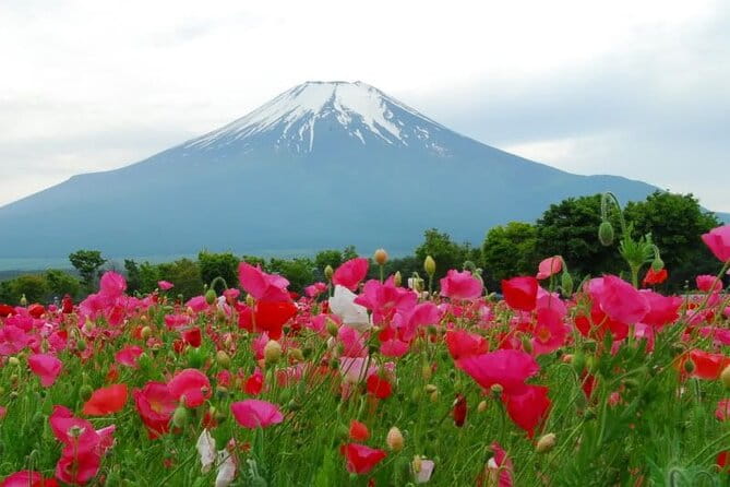 Private Full-Day Guided Tour in Mount Fuji Lakes - Pickup and Meeting Information