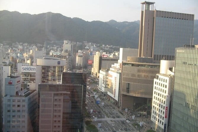 Private Full-Day Guided Tour in the City of Kobe - Customizing Your Tour Experience