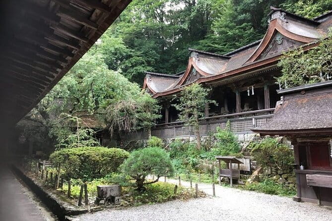 Private Full-Day Guided Tour in Yoshino, Japanese Mountain - Highlights of the Yoshino Mountain Experience