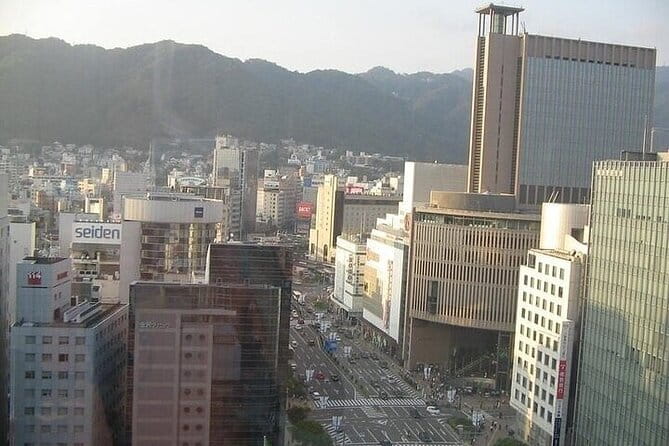Private Full-Day Guided Tour of Himeji and Kobe - Additional Information
