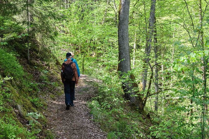 Private Full-Day Hiking Tour in Sigulda and Gauja National Park - Key points / Takeaways