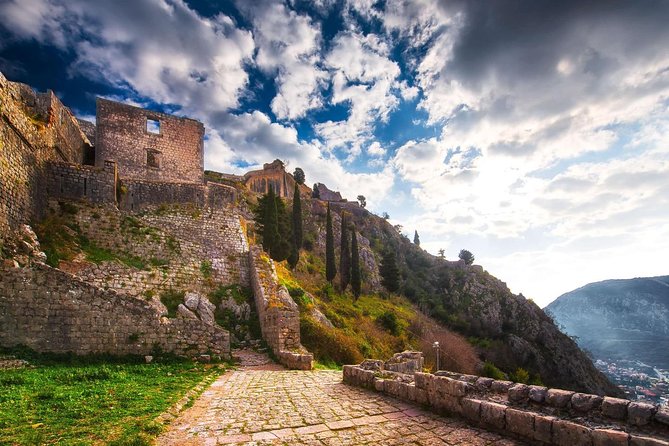 Private Full-Day Montenegro Budva and Kotor Tour From Tirana - Tour Guide