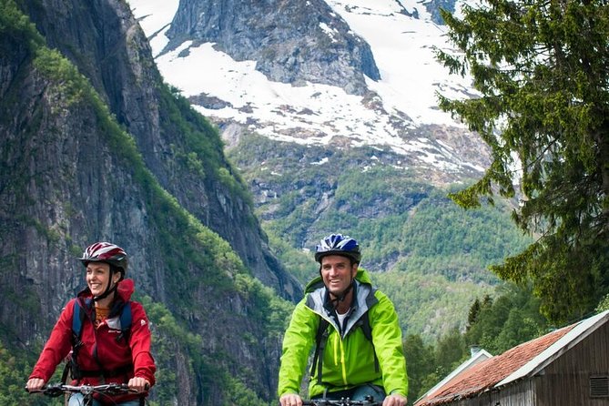 Private Full-Day Round Trip From Oslo to Sognefjord via Flåm Railway - Nærøyfjord: UNESCO-Listed Fjord