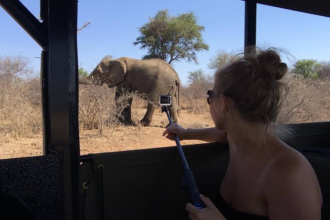 Private Full Day Safari L Kruger National Park From Hazyview or Skukuza - Restrictions