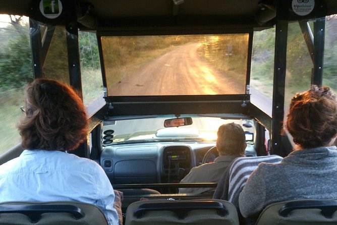 Private Full Day Safari L Kruger National Park From Hazyview or Skukuza - Reviews