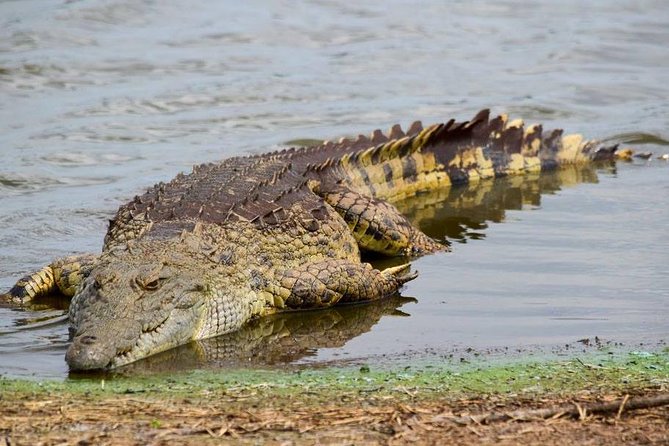 Private Full Day Safari L Kruger National Park From Hazyview or Skukuza - Departure Locations