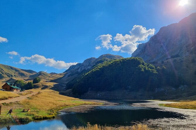 Private Full Day Safari Tour - In-Depth Review of the Zelengora Safari Experience