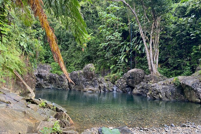 Private Full-Day Secret Hiking Tour to El Yunque Waterfalls - Hiking Adventure Through El Yunque