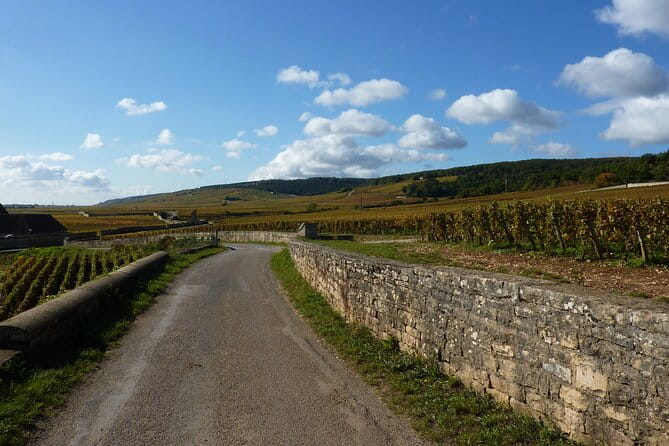 Private Full Day Tour Burgundy Gourmet - Key Points / Takeaways