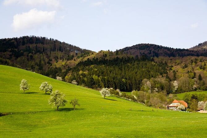 Private Full Day Tour in Baden's Black Forest - Key Points / Takeaways