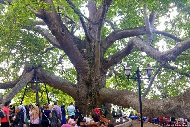 Private Full-Day Tour in Bursa luxury VIP Car With Driver - Practical Tips