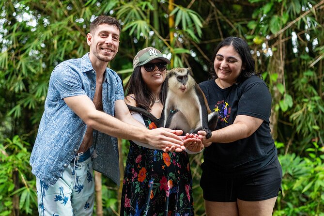 Private Full-Day Tour in Grenada With Pickup - Customer Reviews