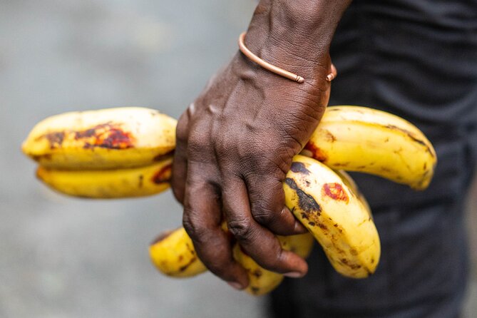 Private Full-Day Tour in Grenada With Pickup - Highlights and Praise