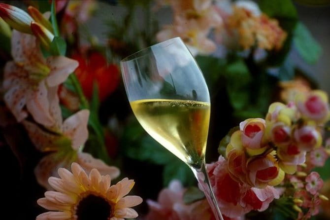 Private Full-Day Tour of Champagne Region - Price and Logistics: Is It Worth It?