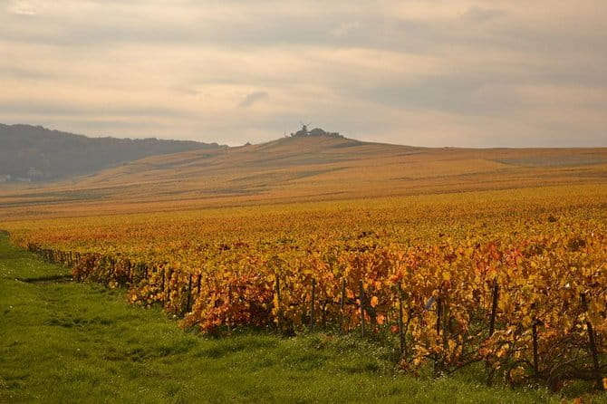 Private Full-Day Tour of Champagne Region - Unique Aspects That Stand Out