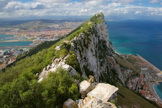 Private Full Day Tour of Gibraltar from Malaga or Marbella - Entering Gibraltar: What the Tour Covers