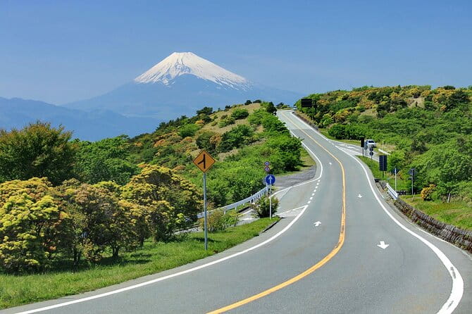 Private Full Day Tour of Izu Peninsula With Hotel Pickup - Additional Information