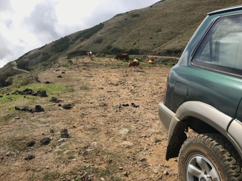 Private Full-Day Tour of North Coast and Laurissilva Forest - Key Points / Takeaways