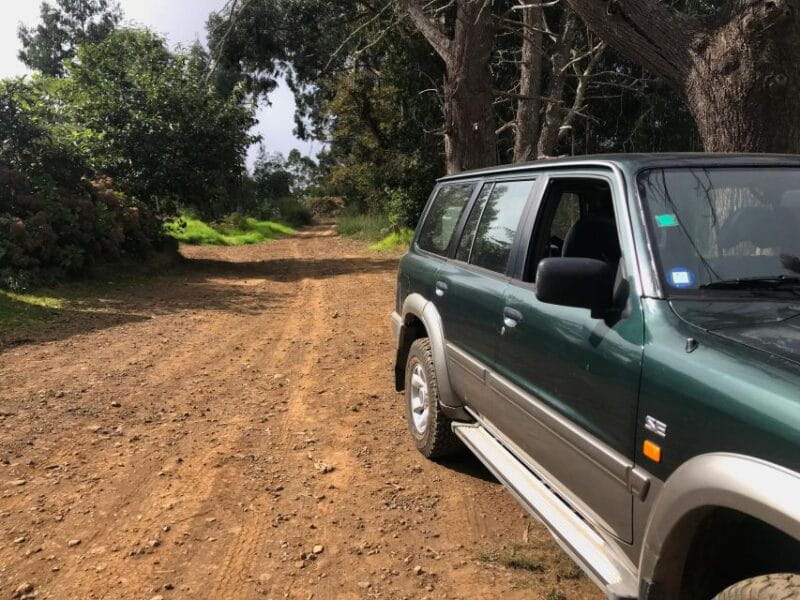 Private Full-Day Tour of North Coast and Laurissilva Forest - Price & Logistics: Analyzing the Value